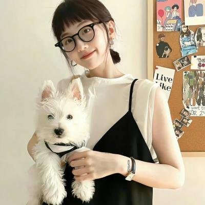 冲绳归来 海报